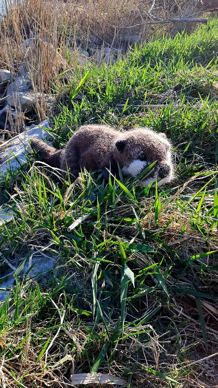 Handgestrickter Otter im Gras am Wasser