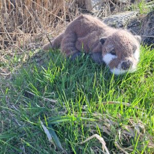 Handgestrickter Otter aus brauner Wolle im Gras