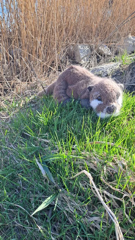 Handgestrickter Otter aus brauner Wolle im Gras