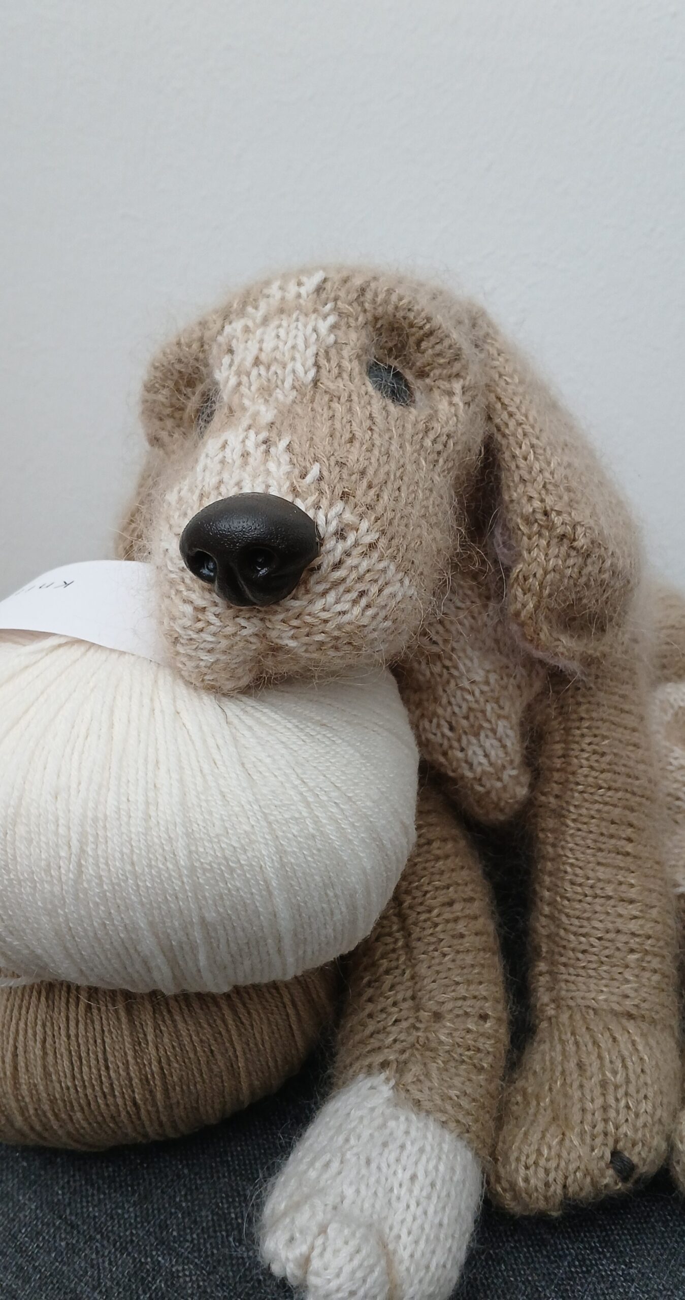 Handgestrickter Standardhund der Maschenbande im Portrait