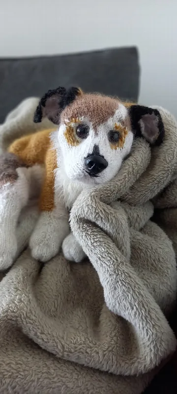 Individuell gestrickter Terrier mit brauner Zeichnung
